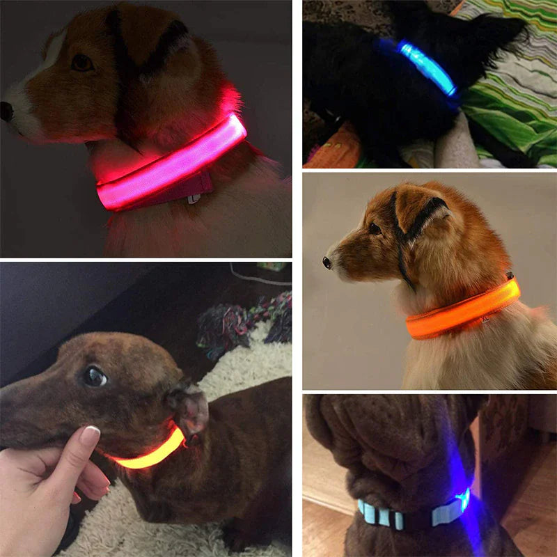 LED Adjustable Blinking Dog Collar