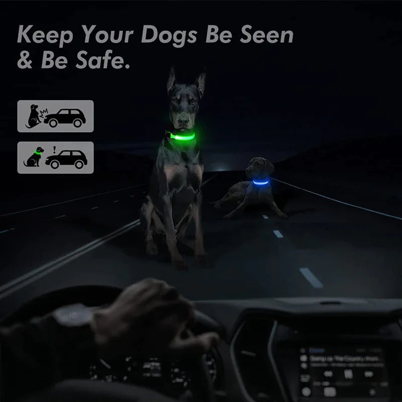 LED Adjustable Blinking Dog Collar