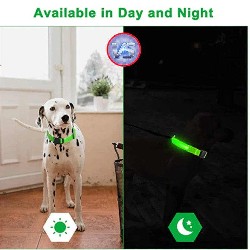 LED Adjustable Blinking Dog Collar