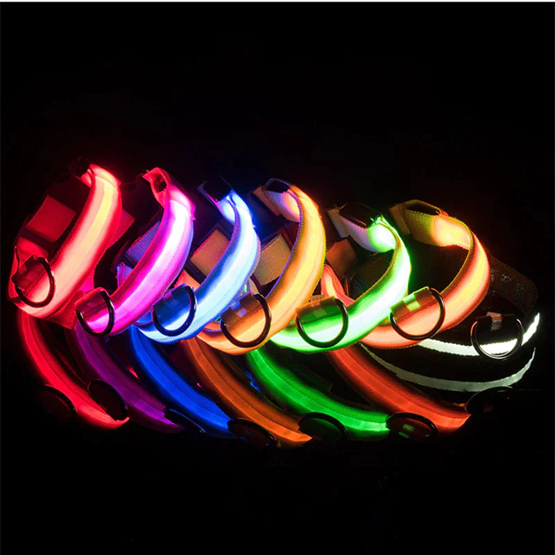 LED Adjustable Blinking Dog Collar