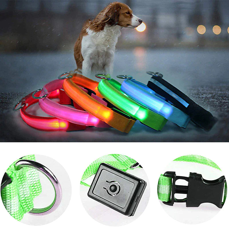 LED Adjustable Blinking Dog Collar