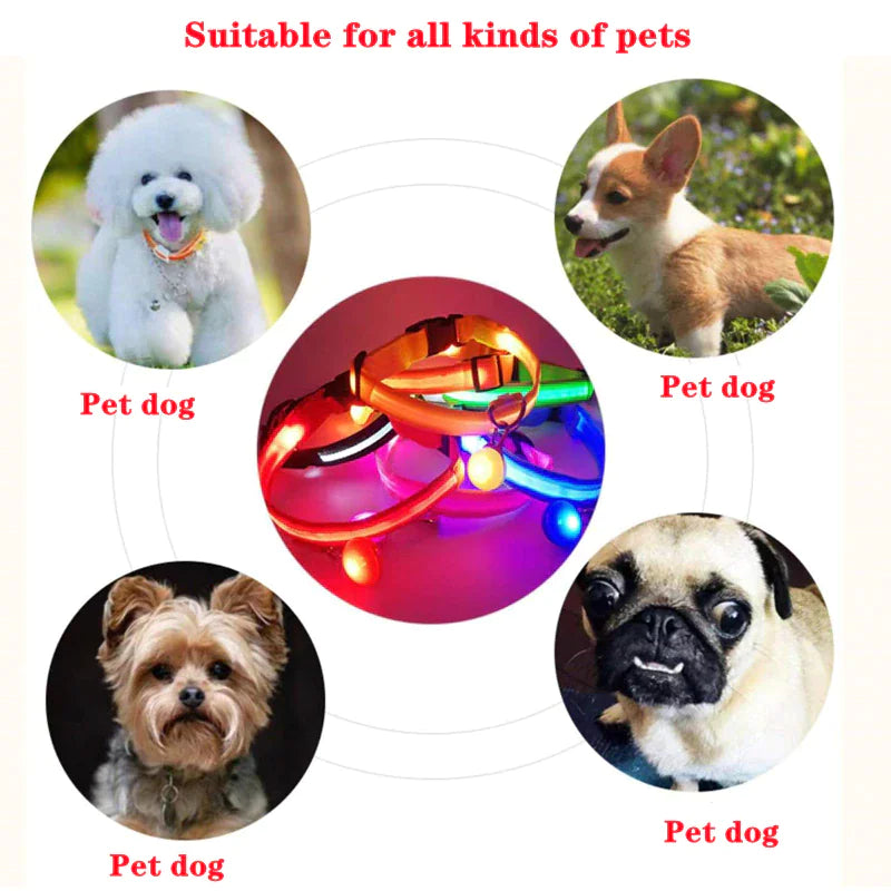 LED Adjustable Blinking Dog Collar