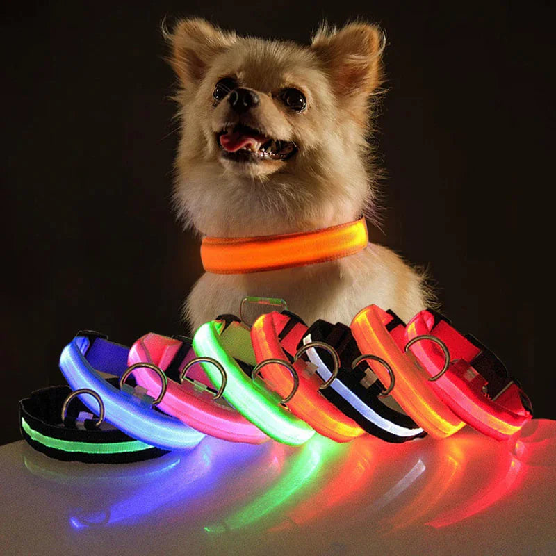 LED Adjustable Blinking Dog Collar